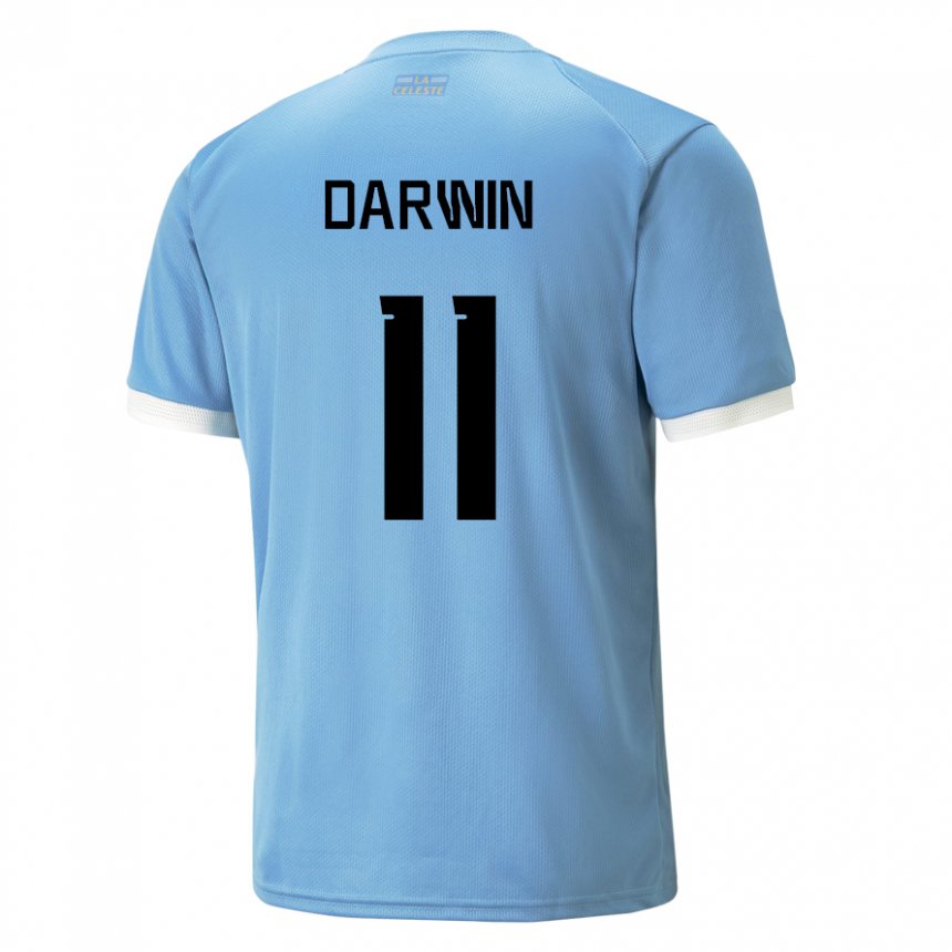 Criança Camisola Uruguaia Darwin Nunez #11 Azul Principal 22-24 Camisa Brasil