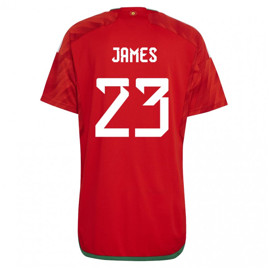 Criança Camisola Galesa Jordan James #23 Vermelho Principal 22-24 Camisa Brasil