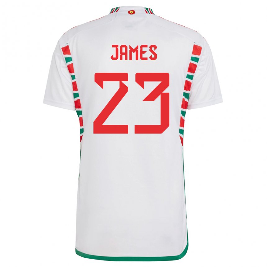 Criança Camisola Galesa Jordan James #23 Branco Alternativa 22-24 Camisa Brasil