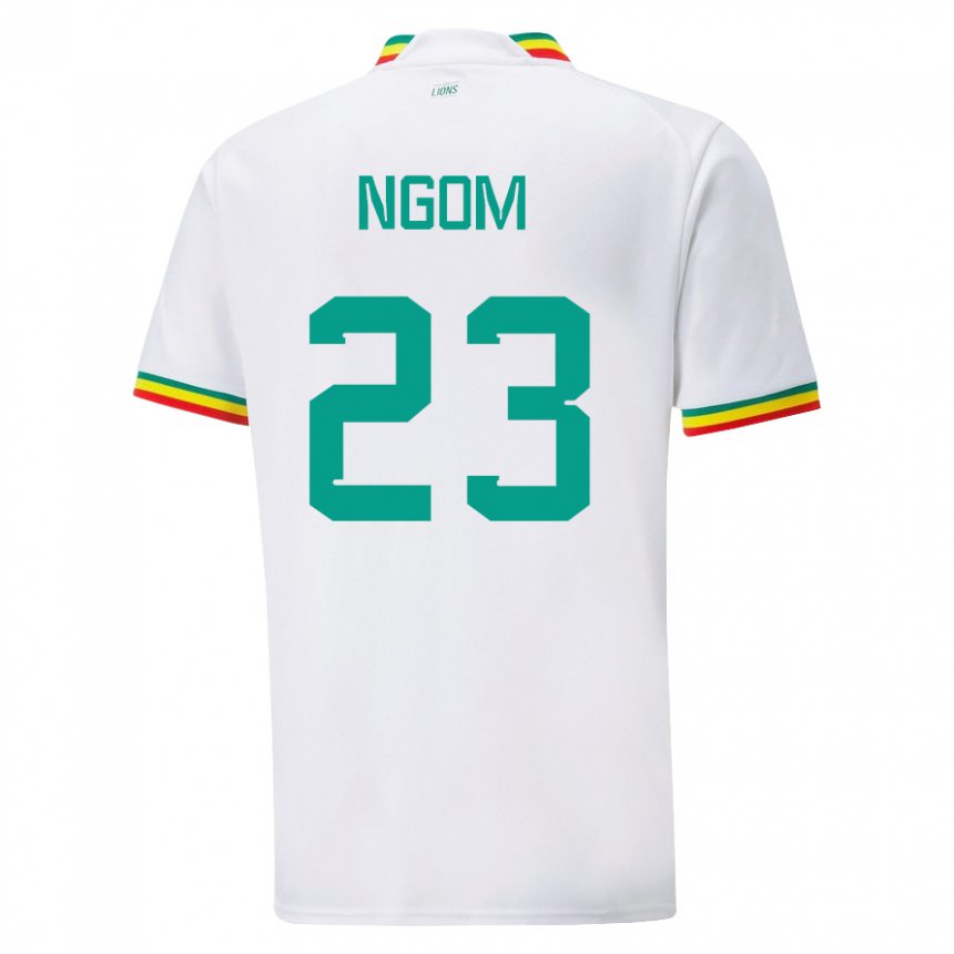 Criança Camisola Senegalesa Astou Ngom #23 Branco Principal 22-24 Camisa Brasil