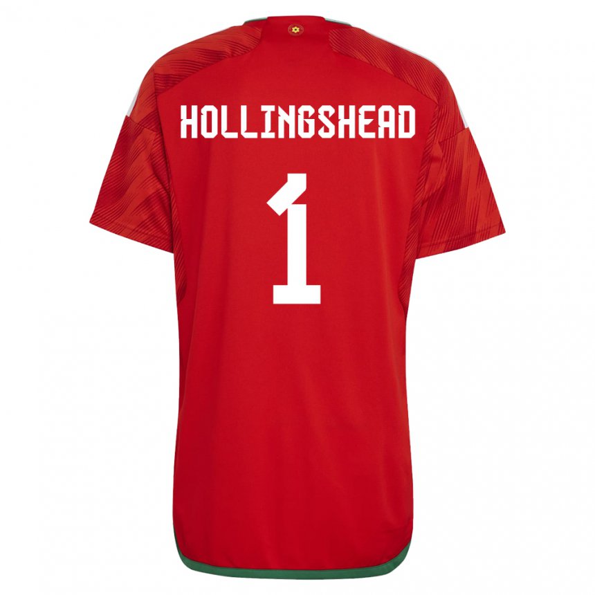 Criança Camisola Galesa Ronnie Hollingshead #1 Vermelho Principal 22-24 Camisa Brasil