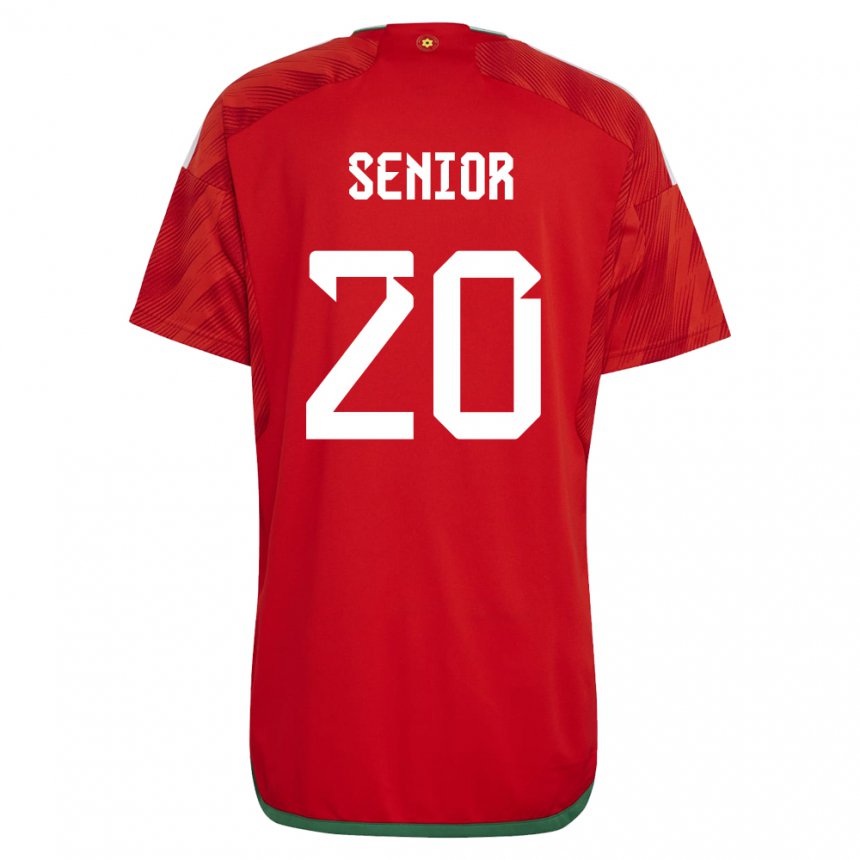 Criança Camisola Galesa Matt Senior #20 Vermelho Principal 22-24 Camisa Brasil