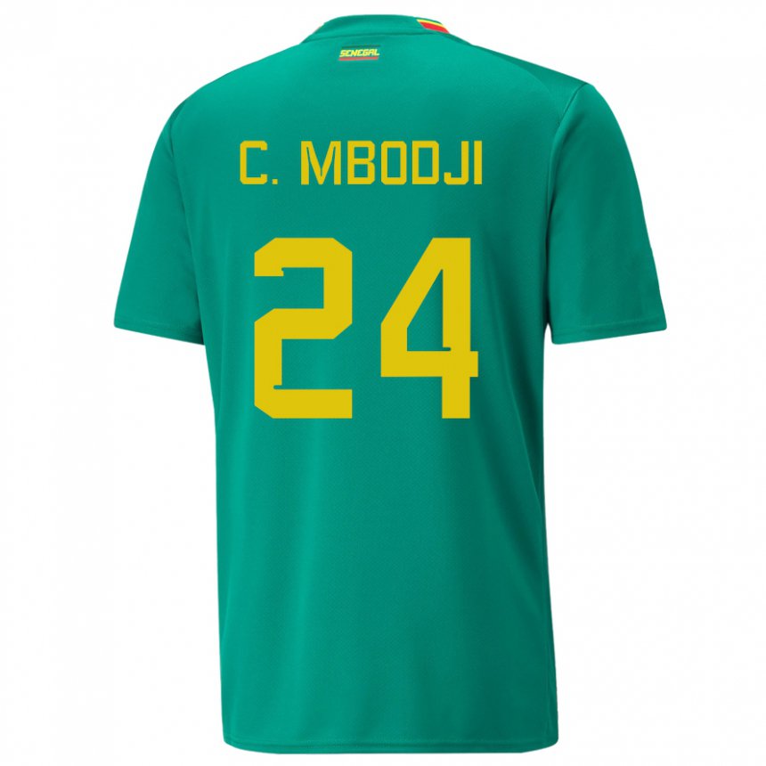 Criança Camisola Senegalesa Coumba Sylla Mbodji #24 Verde Alternativa 22-24 Camisa Brasil