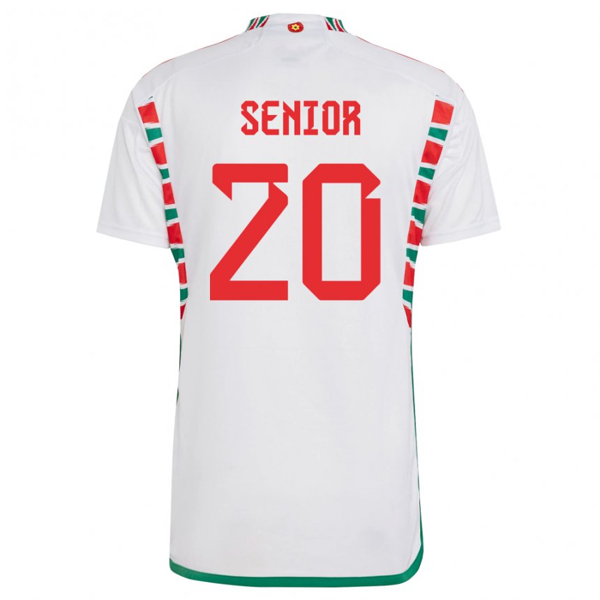 Criança Camisola Galesa Matt Senior #20 Branco Alternativa 22-24 Camisa Brasil