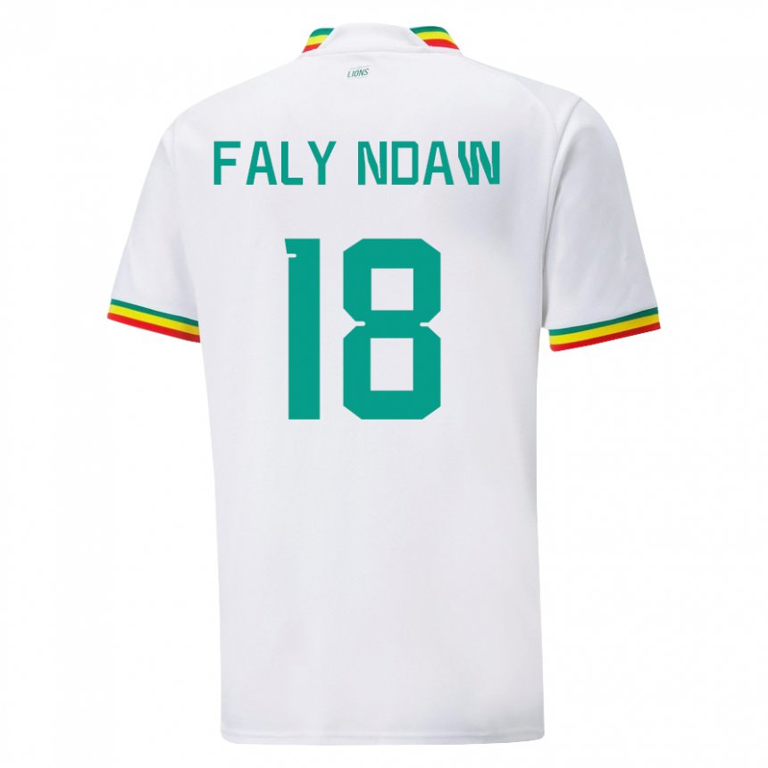 Homem Camisola Senegalesa Faly Ndaw #18 Branco Principal 22-24 Camisa Brasil