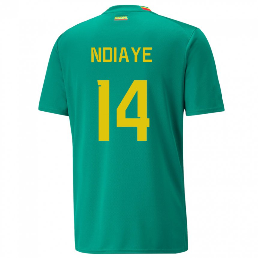 Homem Camisola Senegalesa Salimata Ndiaye #14 Verde Alternativa 22-24 Camisa Brasil