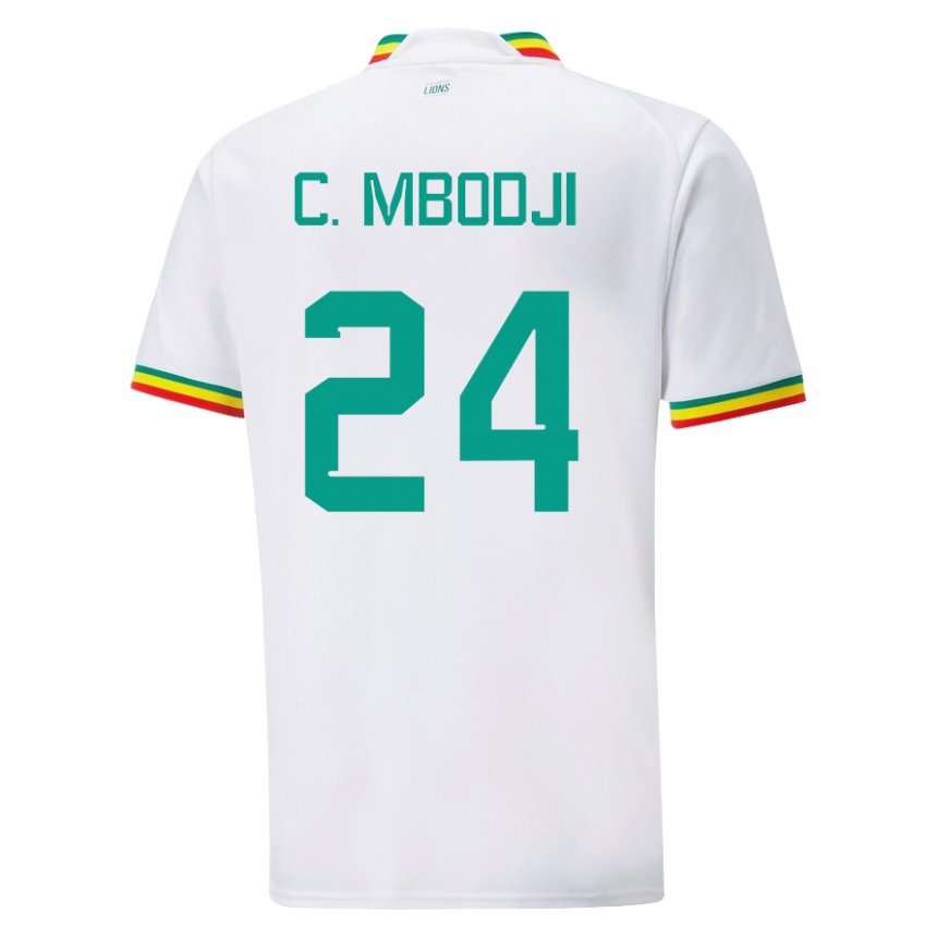 Mulher Camisola Senegalesa Coumba Sylla Mbodji #24 Branco Principal 22-24 Camisa Brasil