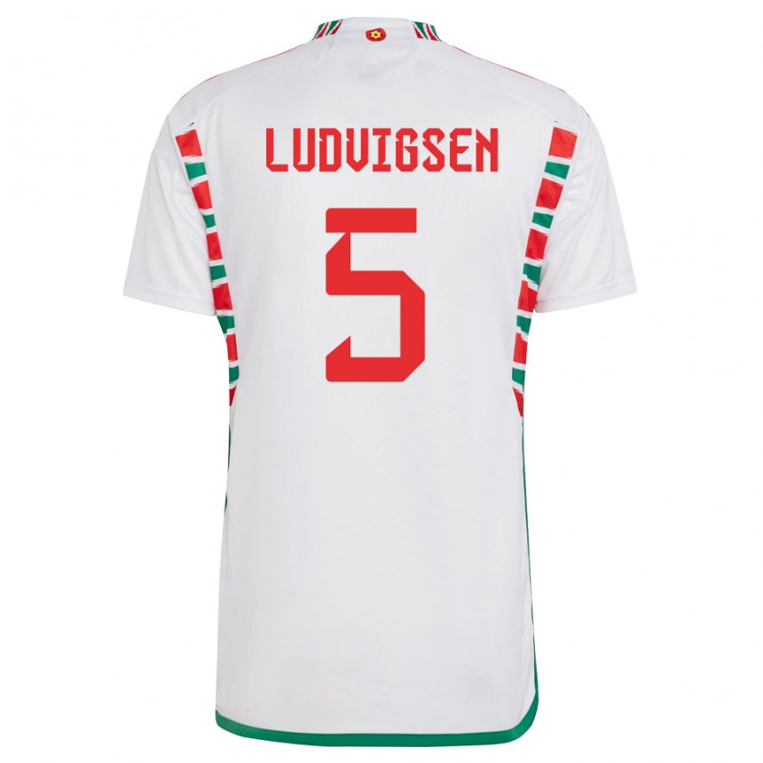 Mulher Camisola Galesa Kai Ludvigsen #5 Branco Alternativa 22-24 Camisa Brasil