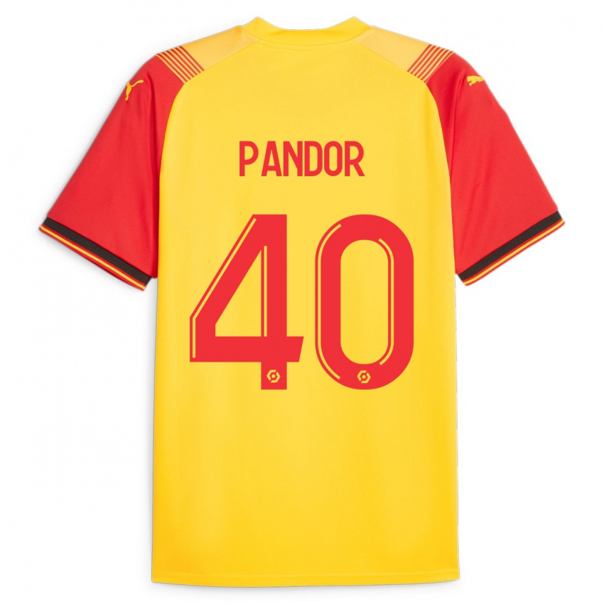 Criança Camisola Yannick Pandor #40 Amarelo Principal 2023/24 Camisa Brasil