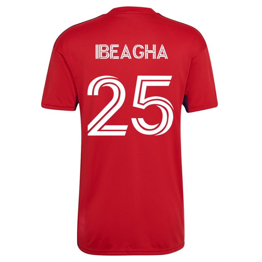 Homem Camisola Sebastien Ibeagha #25 Vermelho Principal 2023/24 Camisa Brasil