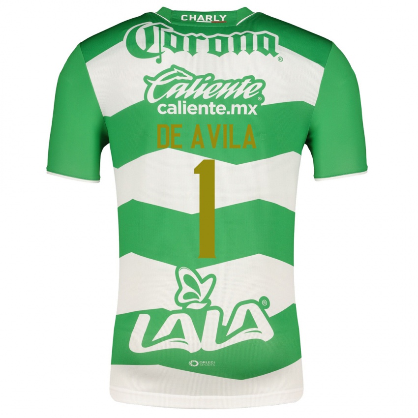 Homem Camisola Hannia De Avila #1 Verde Principal 2023/24 Camisa Brasil
