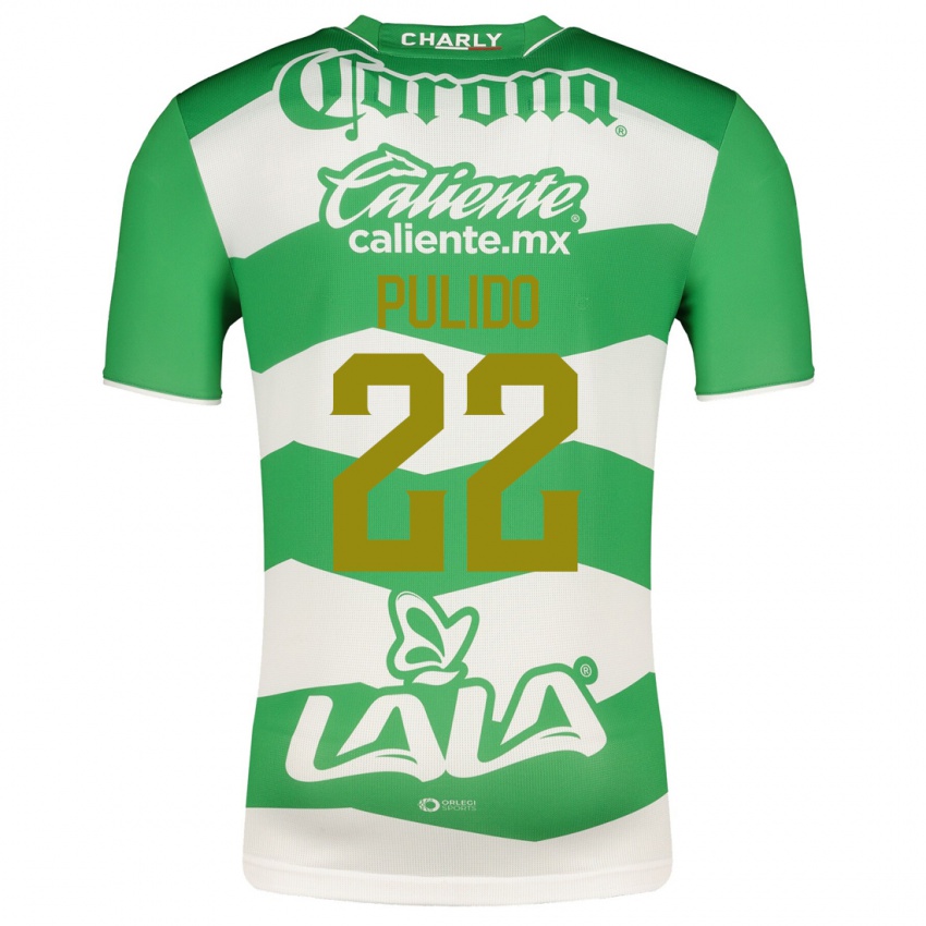Homem Camisola Sheila Pulido #22 Verde Principal 2023/24 Camisa Brasil