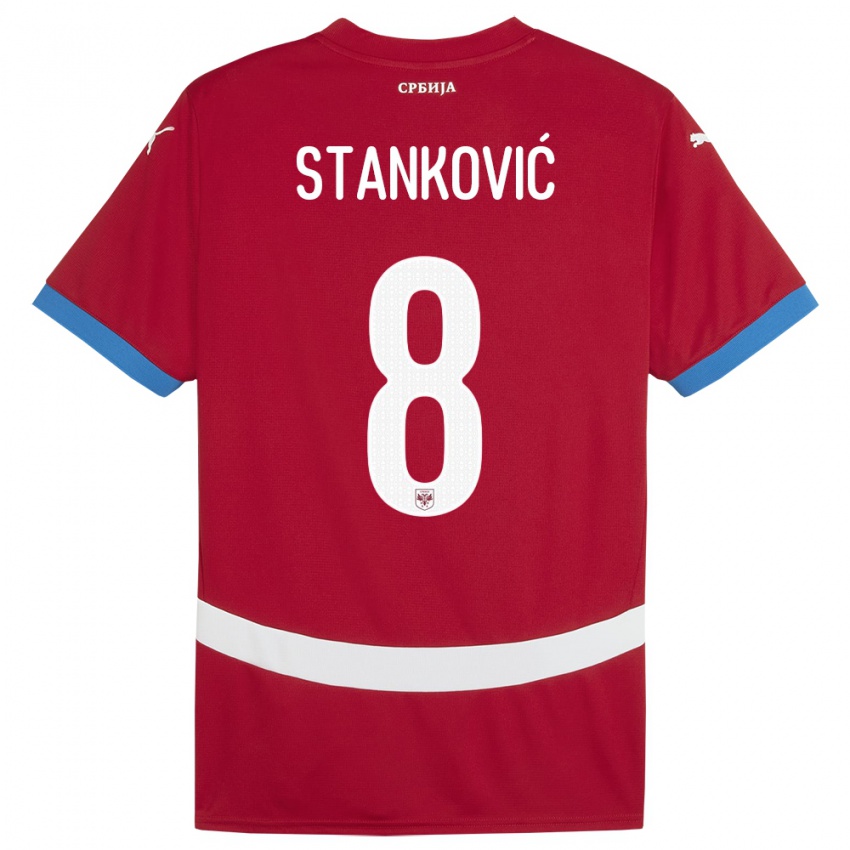 Criança Camisola Sérvia Aleksandar Stankovic #8 Vermelho Principal 24-26 Camisa Brasil