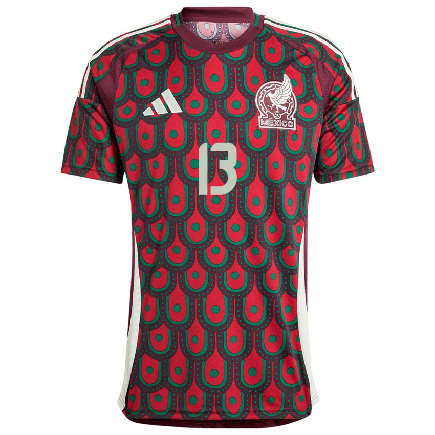 Criança Camisola México Guillermo Ochoa #13 Marrom Principal 24-26 Camisa Brasil