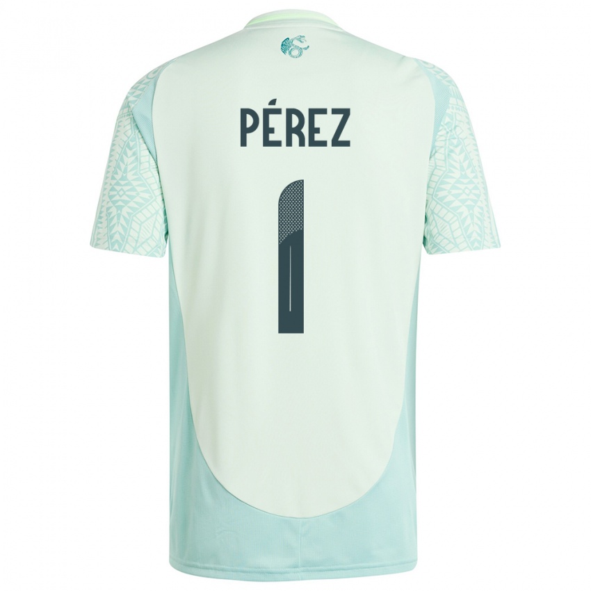 Homem Camisola México Emiliano Perez #1 Linho Verde Alternativa 24-26 Camisa Brasil