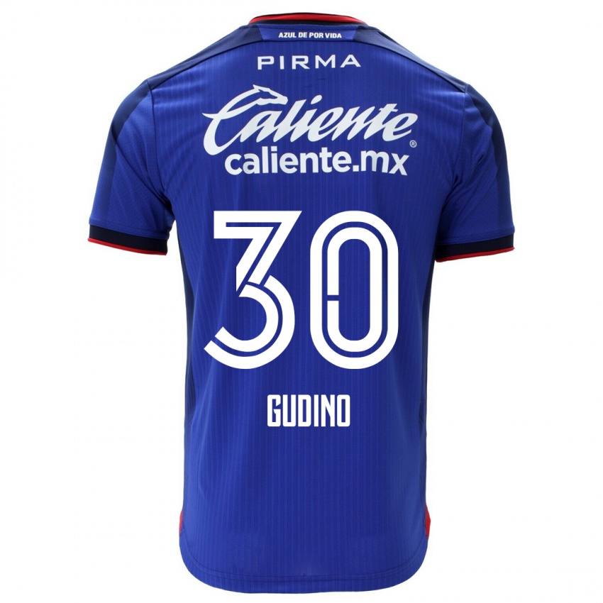Criança Camisola Andres Gudino #30 Azul Principal 2023/24 Camisa Brasil