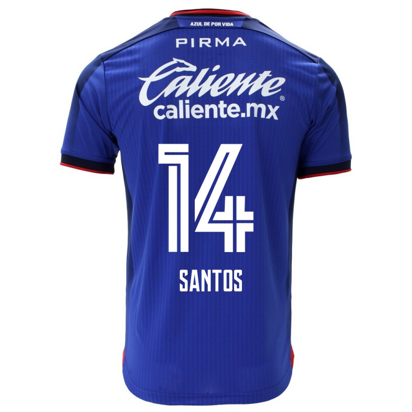 Homem Camisola Eleisa Santos #14 Azul Principal 2023/24 Camisa Brasil