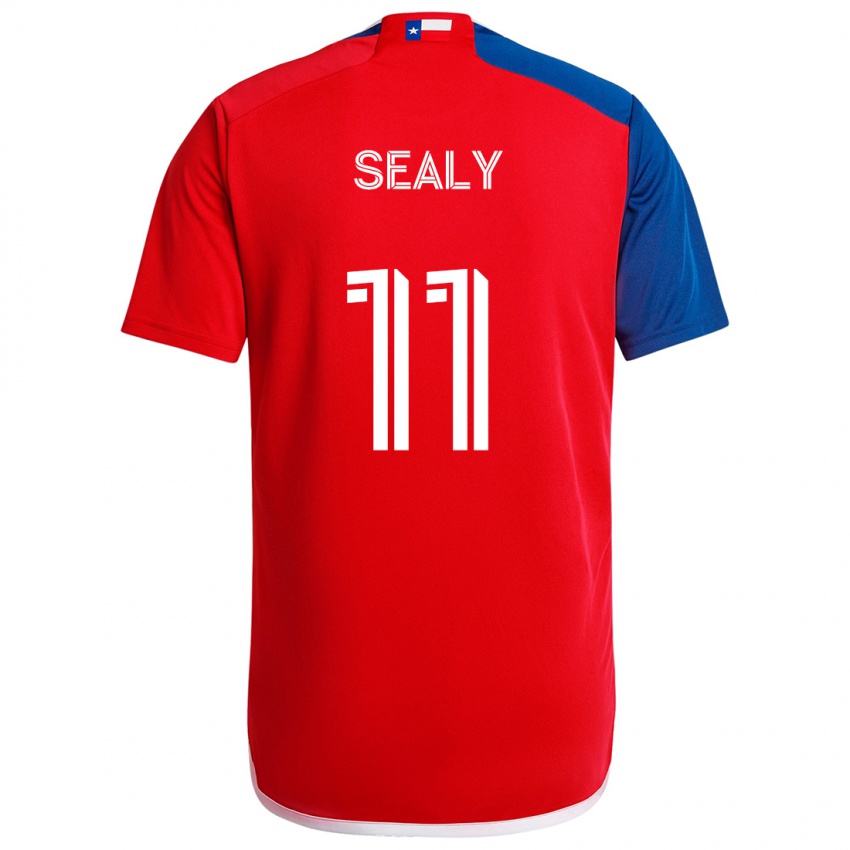 Criança Camisola Dante Sealy #11 Azul Vermelho Principal 2024/25 Camisa Brasil