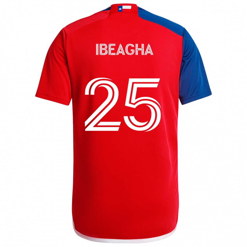 Criança Camisola Sebastien Ibeagha #25 Azul Vermelho Principal 2024/25 Camisa Brasil