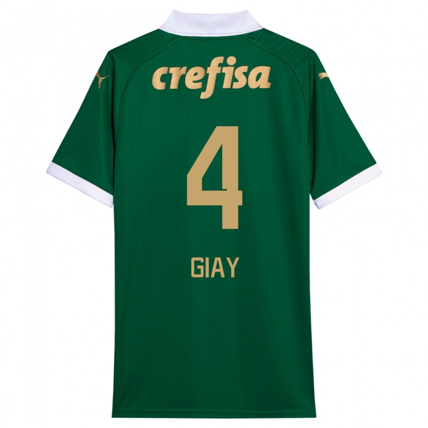 Homem Camisola Agustín Giay #4 Verde Branco Principal 2024/25 Camisa Brasil