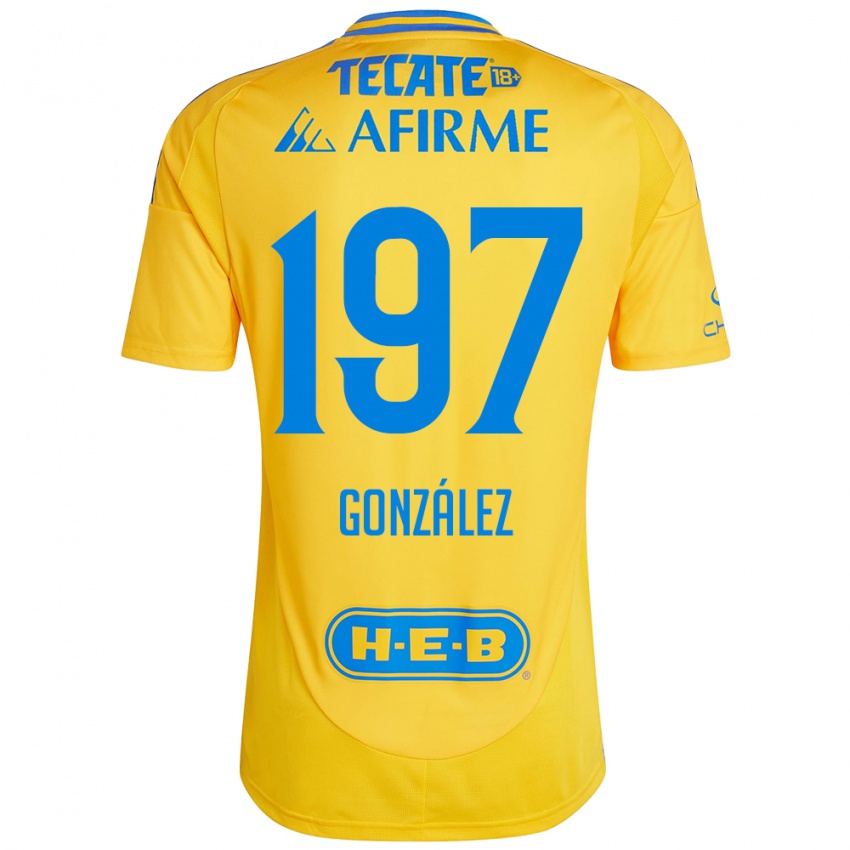 Criança Camisola Germán González #197 Ouro Amarelo Principal 2024/25 Camisa Brasil