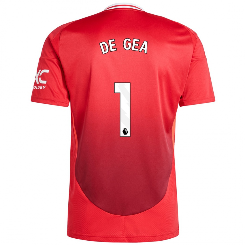 Criança Camisola David De Gea #1 Vermelho Brilhante Principal 2024/25 Camisa Brasil