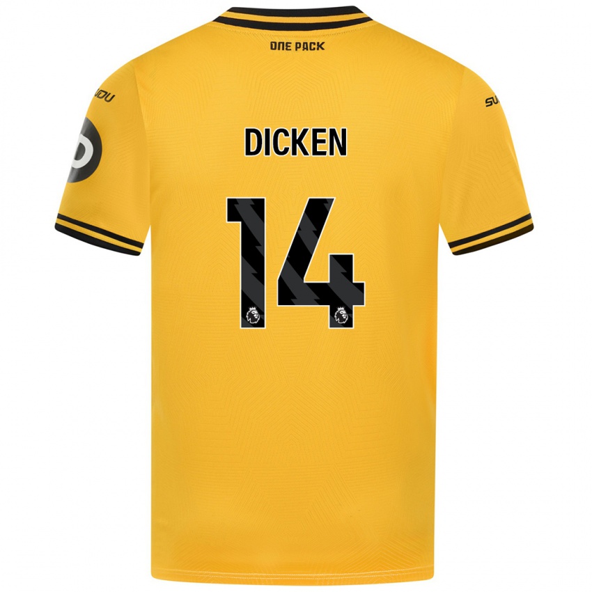 Criança Camisola Amy Dicken #14 Amarelo Principal 2024/25 Camisa Brasil