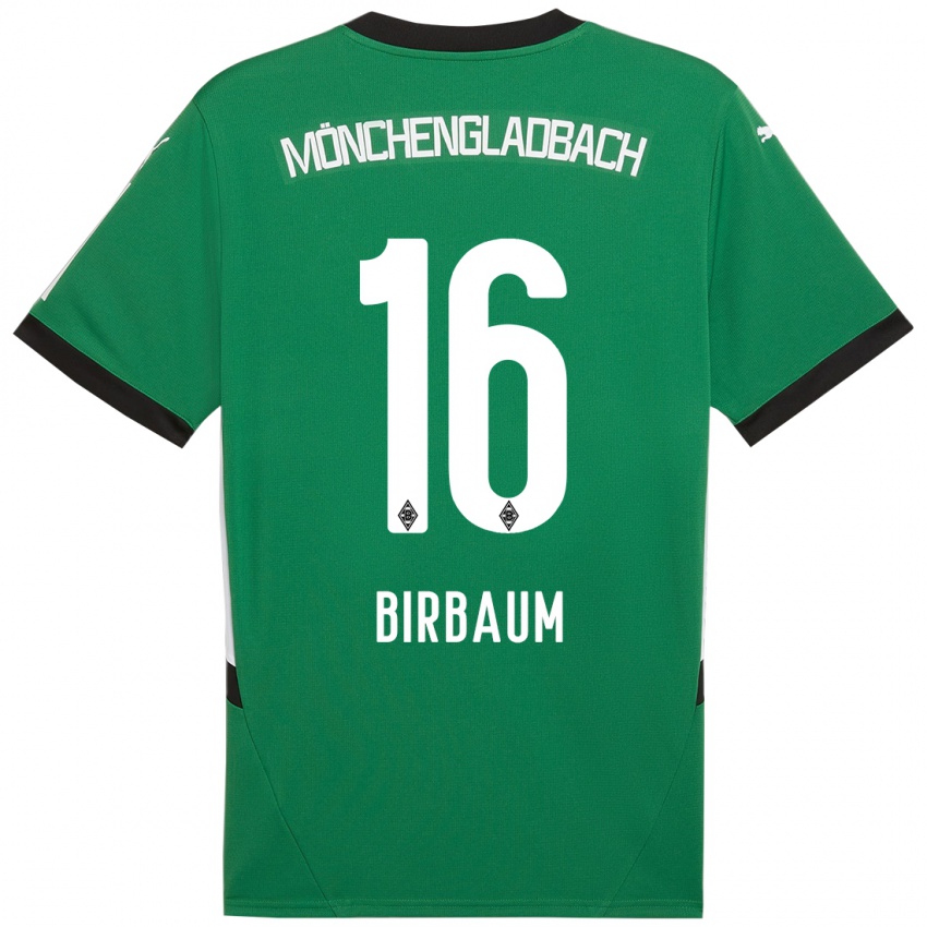 Criança Camisola Anne Birbaum #16 Verde Branco Alternativa 2024/25 Camisa Brasil