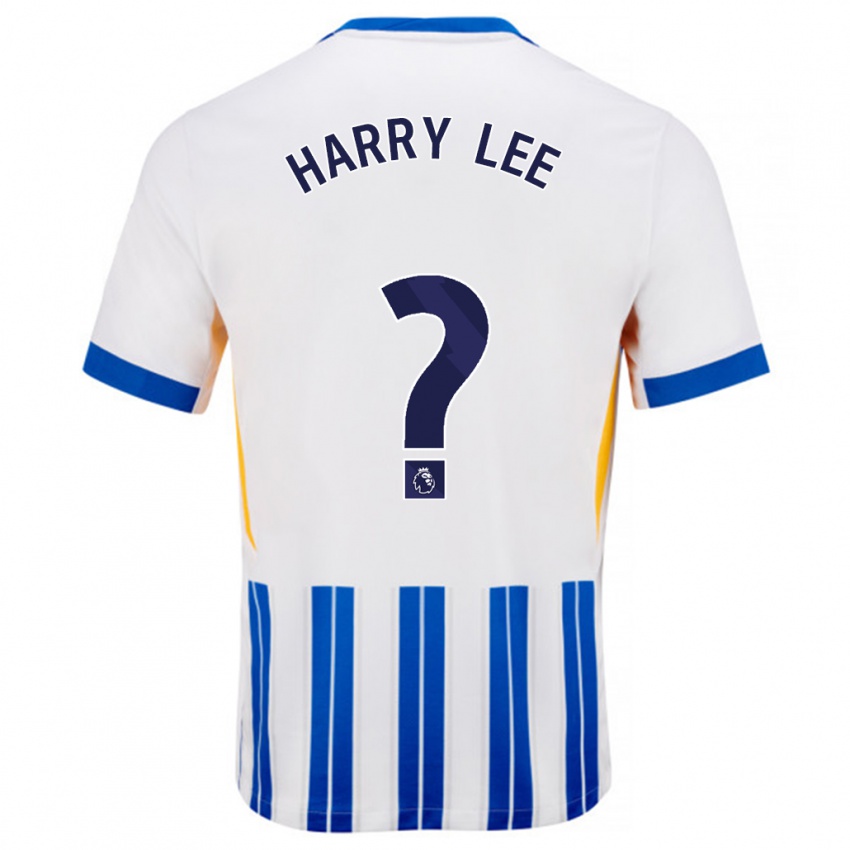 Homem Camisola Harry Lee #0 Branco Azul Principal 2024/25 Camisa Brasil