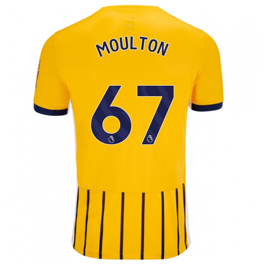 Homem Camisola Remeiro Moulton #67 Azuis Dourados Alternativa 2024/25 Camisa Brasil