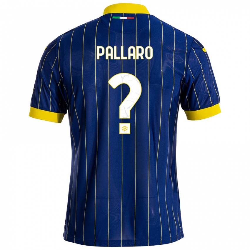 Criança Camisola Alessandro Pallaro #0 Azul Amarelo Principal 2024/25 Camisa Brasil