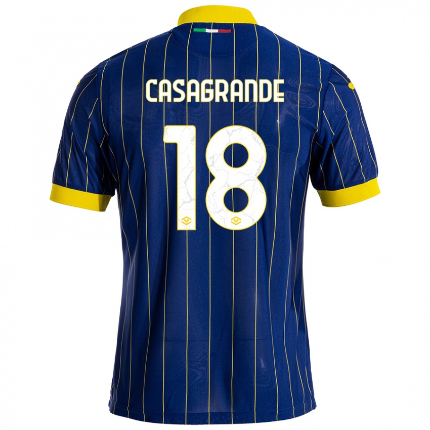 Criança Camisola Davide Casagrande #18 Azul Amarelo Principal 2024/25 Camisa Brasil