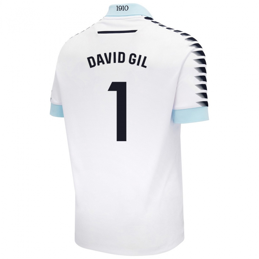 Criança Camisola David Gil #1 Azul Branco Alternativa 2024/25 Camisa Brasil