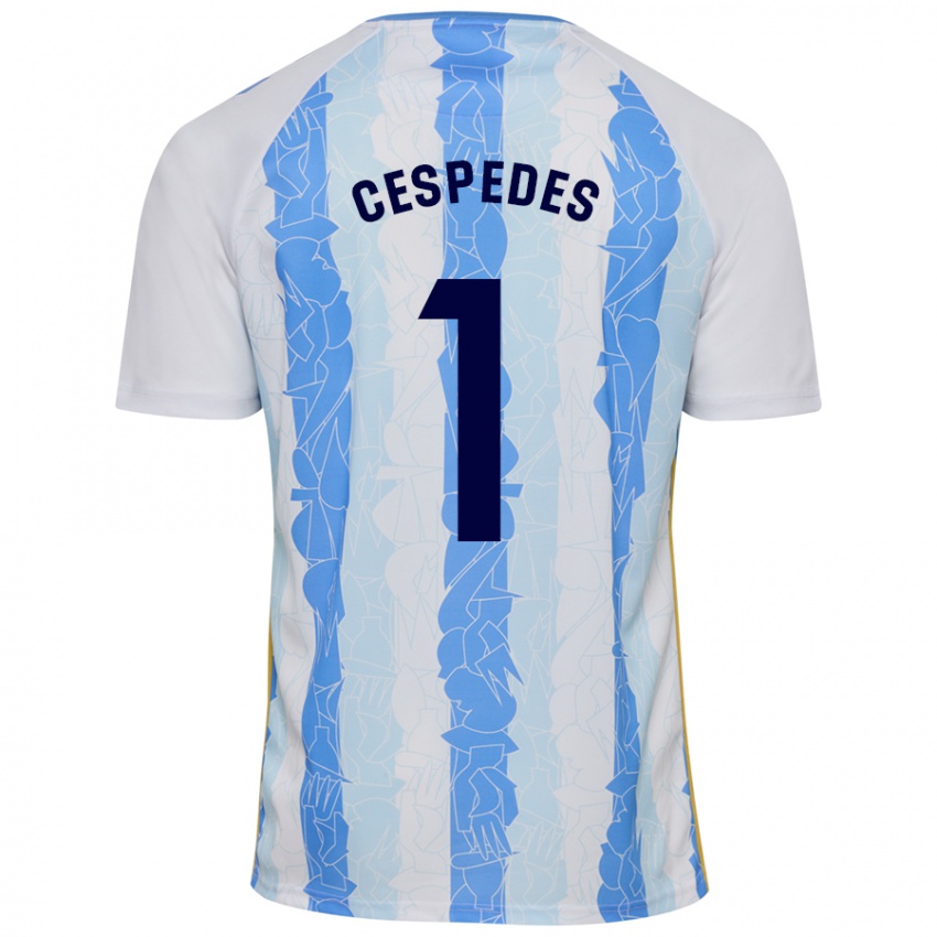 Homem Camisola Andrés Céspedes #1 Azul Branco Principal 2024/25 Camisa Brasil