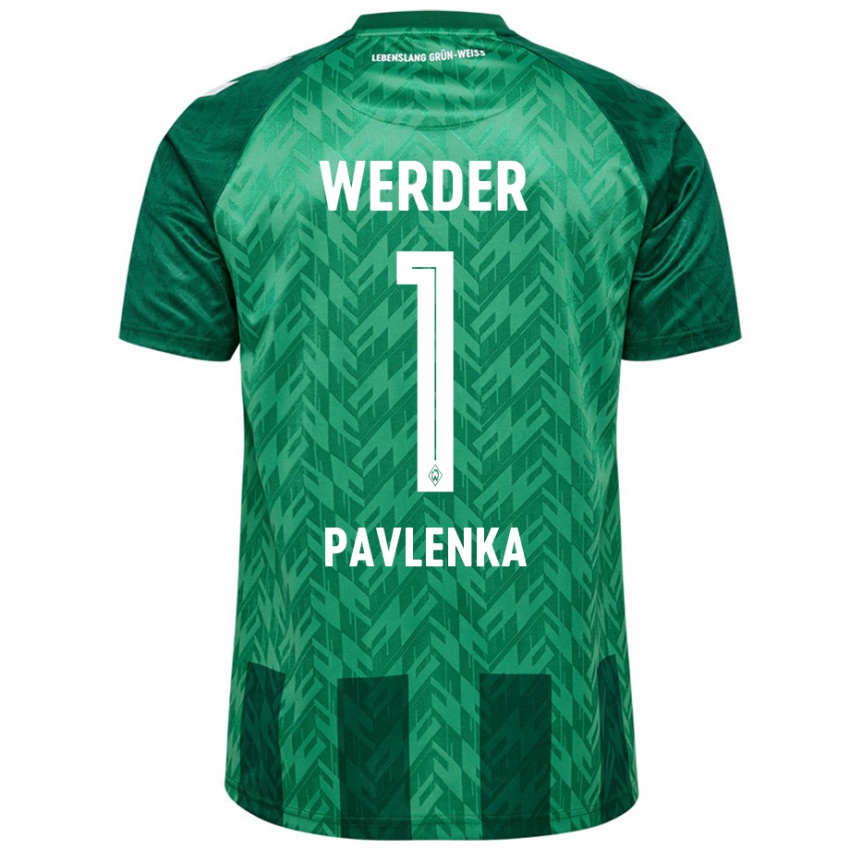 Criança Camisola Jiri Pavlenka #1 Verde Principal 2024/25 Camisa Brasil