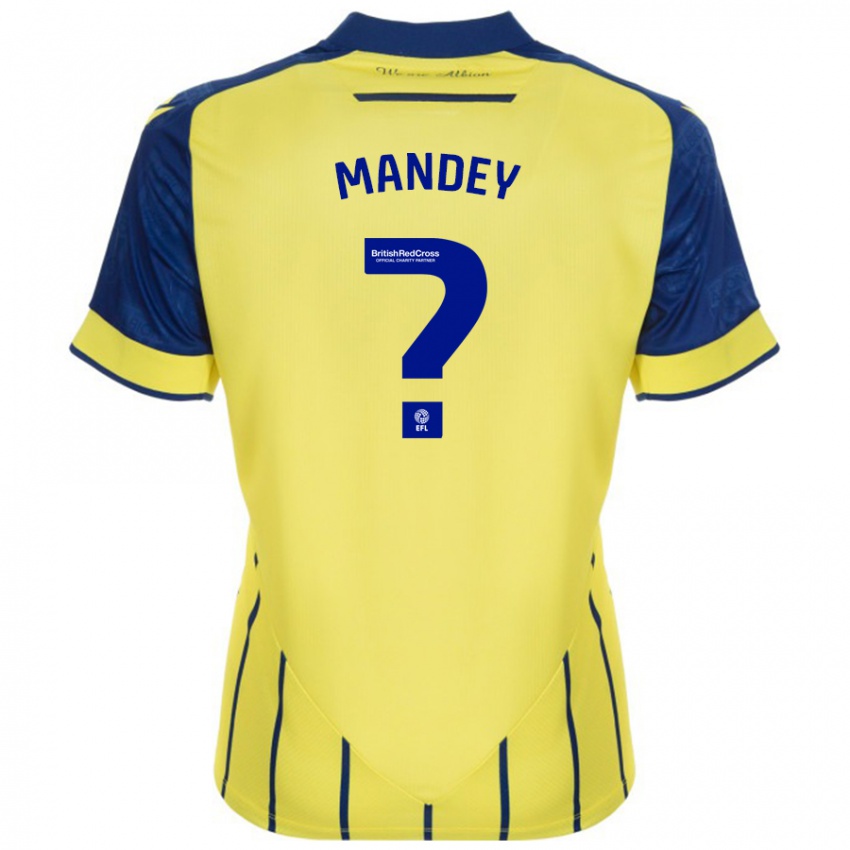 Criança Camisola Souleyman Mandey #0 Azul Amarelo Alternativa 2024/25 Camisa Brasil