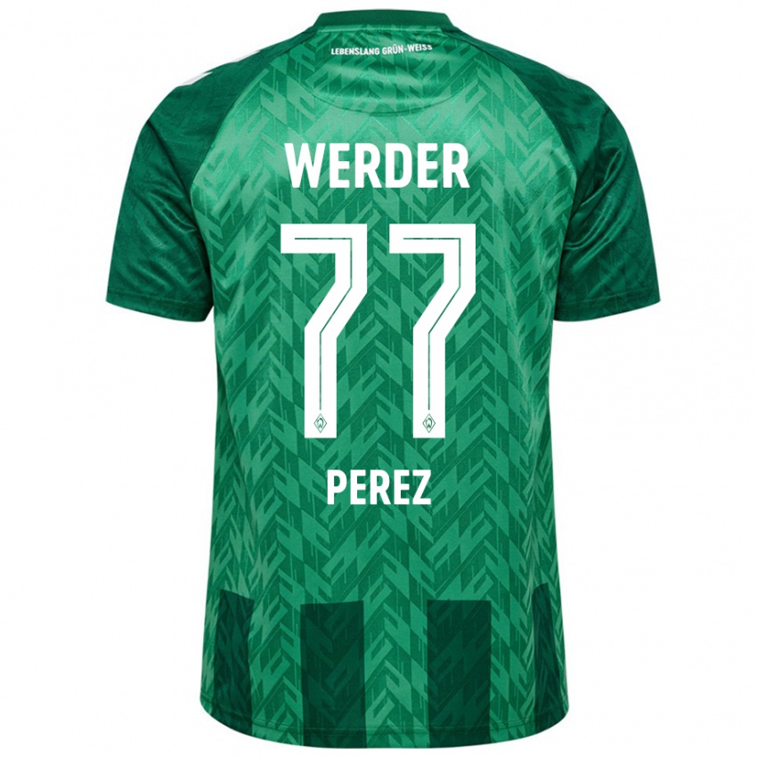 Homem Camisola Catalina Pérez Jaramillo #77 Verde Principal 2024/25 Camisa Brasil