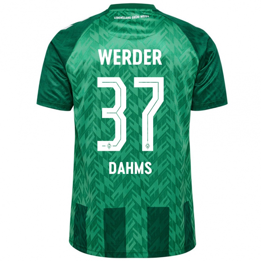 Mulher Camisola Lena Dahms #37 Verde Principal 2024/25 Camisa Brasil