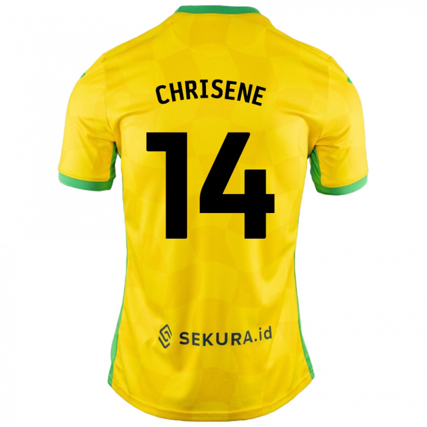 Criança Camisola Ben Chrisene #14 Verde Amarelo Principal 2024/25 Camisa Brasil