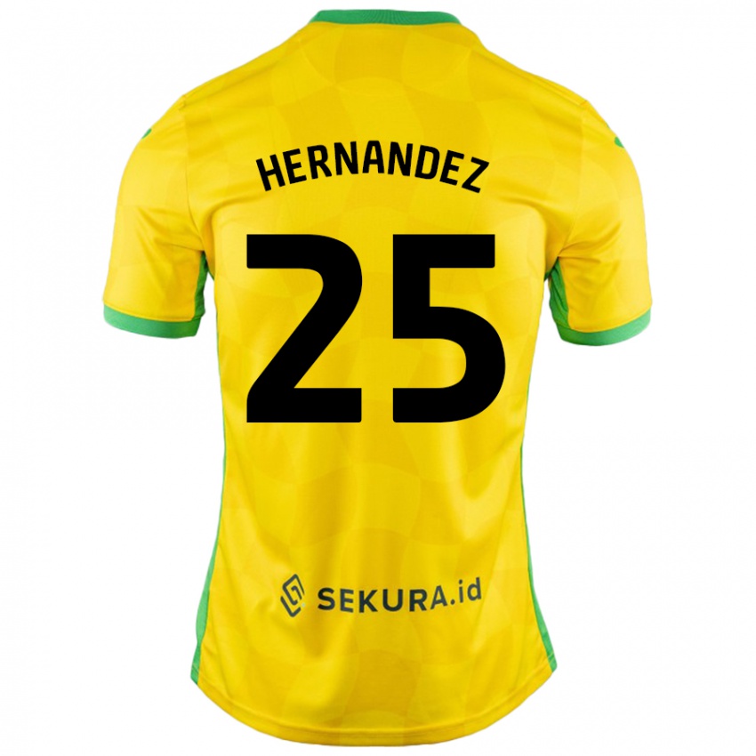 Criança Camisola Onel Hernández #25 Verde Amarelo Principal 2024/25 Camisa Brasil