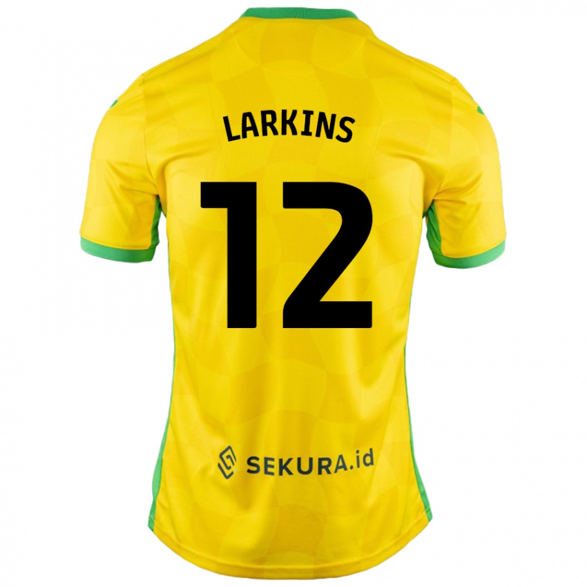 Criança Camisola Anna Larkins #12 Verde Amarelo Principal 2024/25 Camisa Brasil