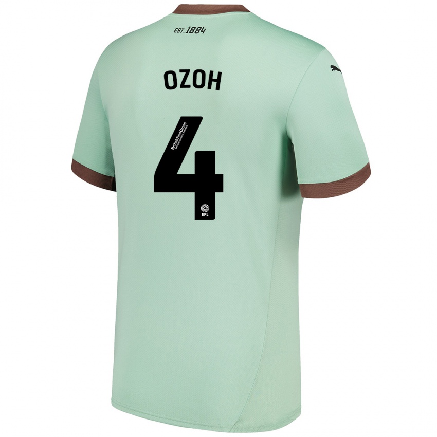 Criança Camisola David Ozoh #4 Verde Claro Alternativa 2024/25 Camisa Brasil